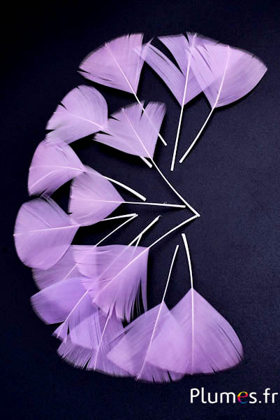 Pétales en plumes - 6-8 x 3-4 cm - parme